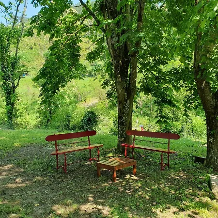 Casa Modi Nel Cuore Del Mugello Holiday home Cerliano